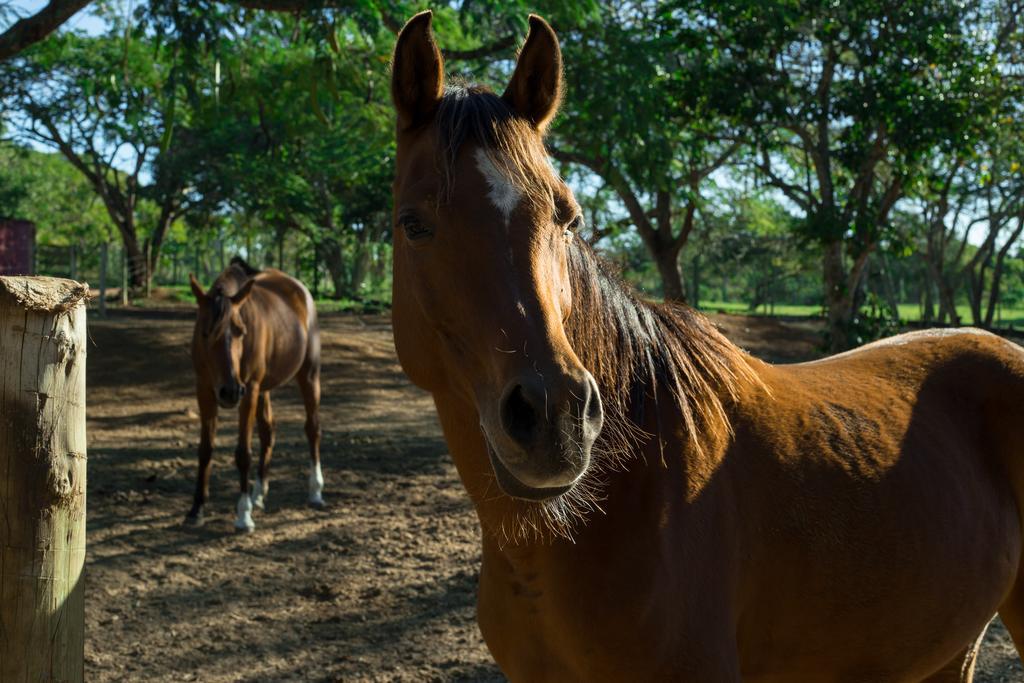 Pousada Fazendinha Buzios Экстерьер фото